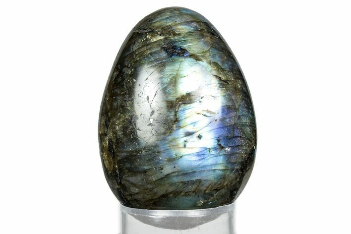 Flashy, Polished Labradorite Egg - Madagascar #344320